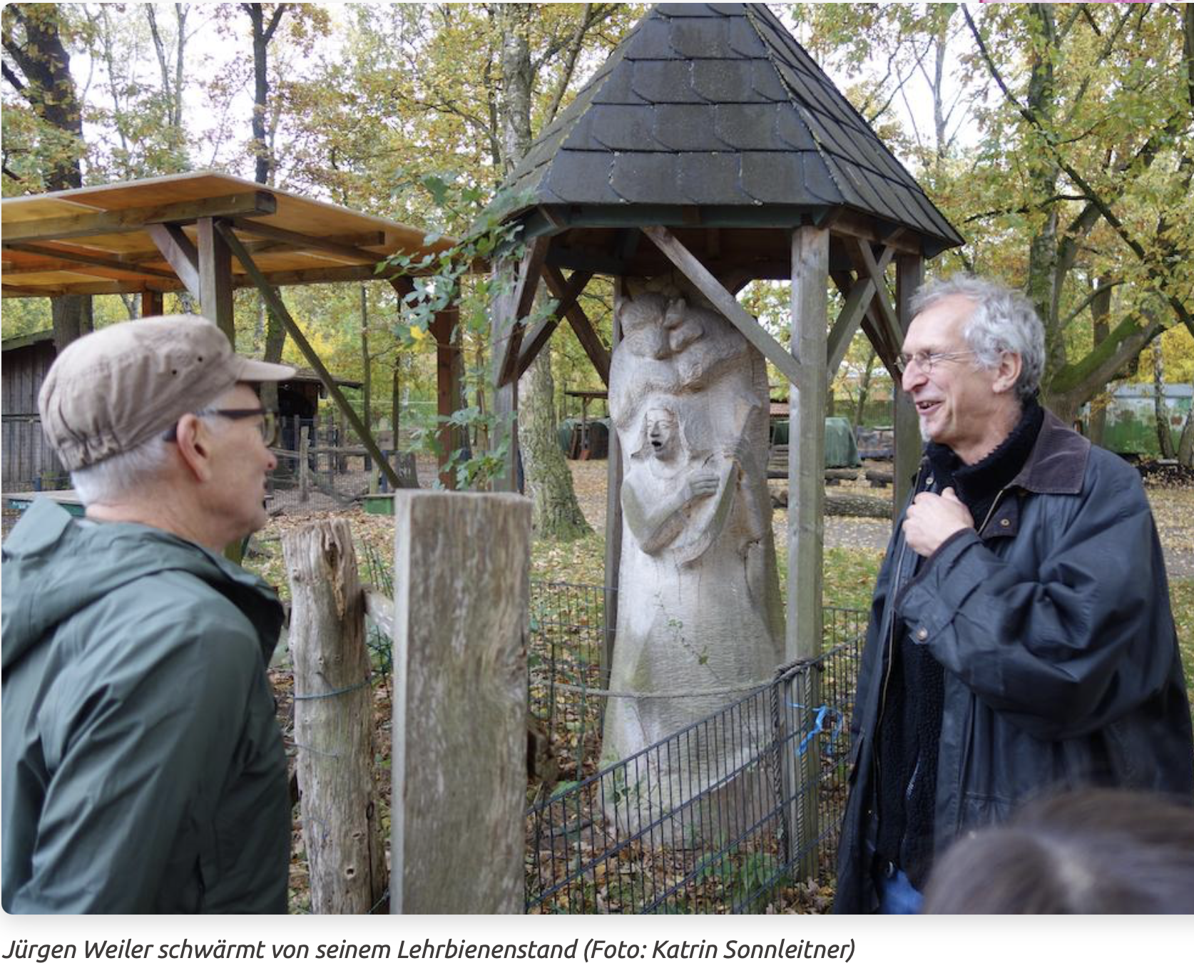 Bienenfreund*innen in Hannover
